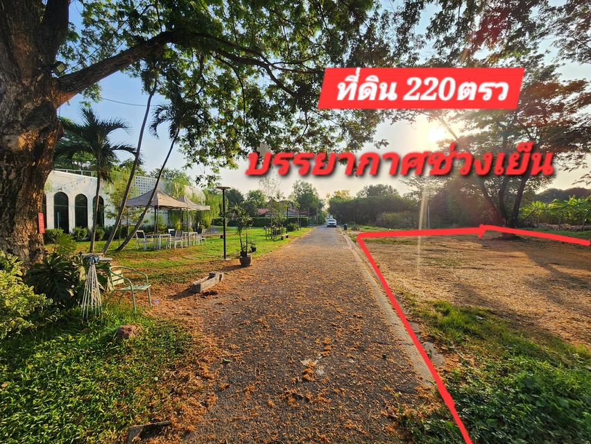 ที่ดินเปล่า 220ตรว. ริมคลองทวีวัฒนา กรุงเทพ 5