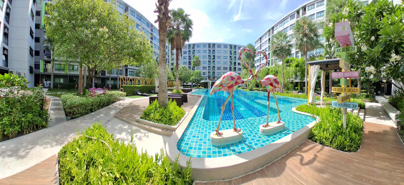 ให้เช่า กรีเน่คอนโด ดอนเมืองสรงประภา วิวสระ 34sq.m.9,500 14