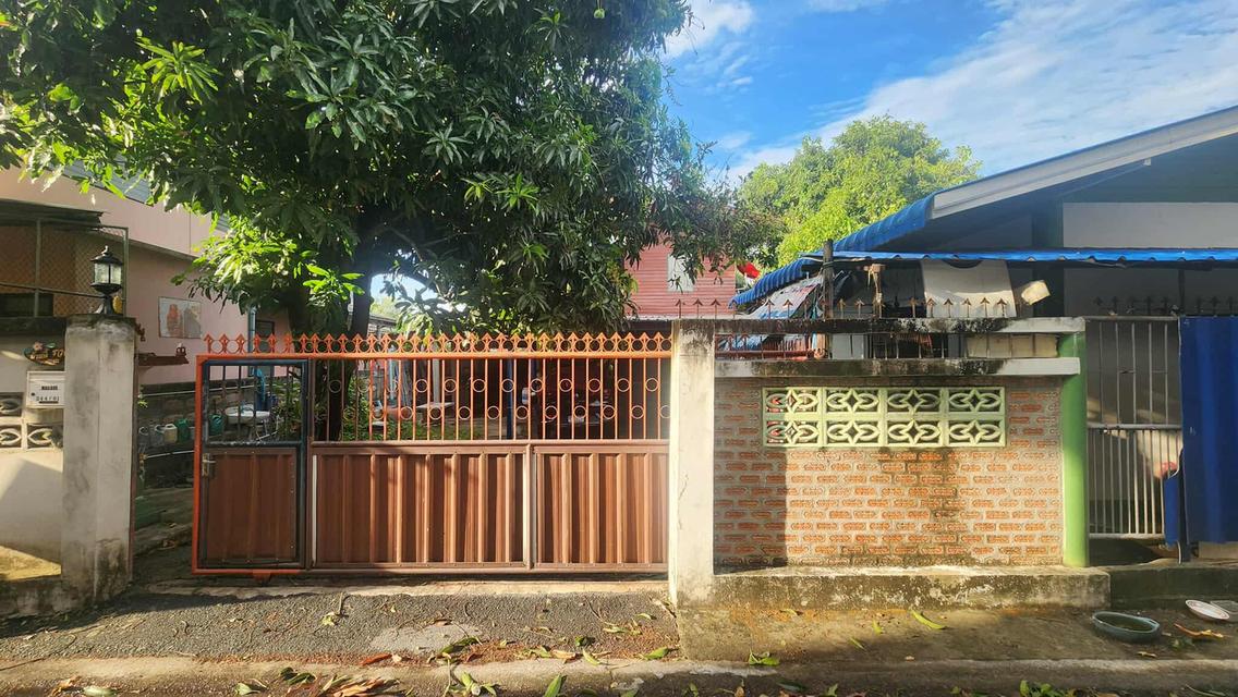 บ้าน+ที่ดิน 9