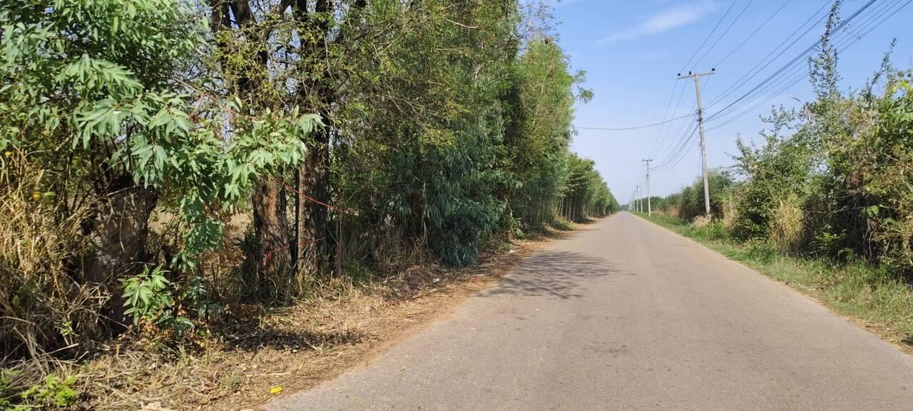 ที่ดิน 40-1-9 ไร่ อำเภอสมเด็จ จังหวัดกาฬสินธุ์ ราคาถูก 3