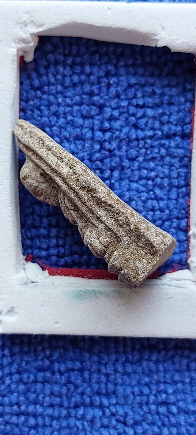 พระผงหลวงพ่อทวดนวล วัดดุยง ปี2507 รูปที่ 4