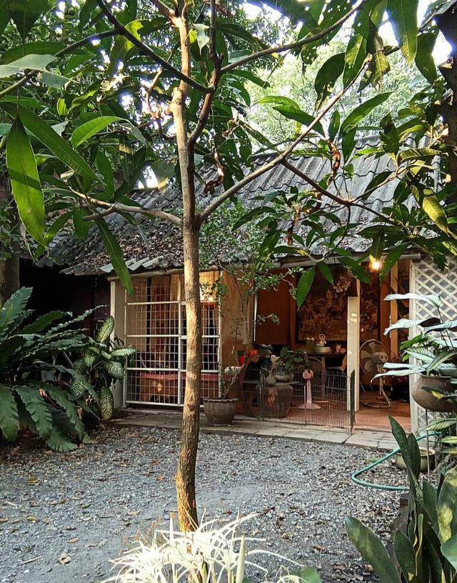 ที่ดินพร้อมบ้านเชียงใหม่ 3