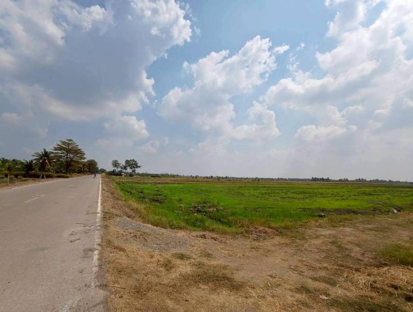 ขายด่วน! ที่ดินบางน้ำเปรี้ยว 15 ไร่ 1 งาน 34 ตารางวา ติดถนนลาดยางสาธารณะ ทำเลทอง ราคาถูกที่สุดในย่านนี้ รูปที่ 3