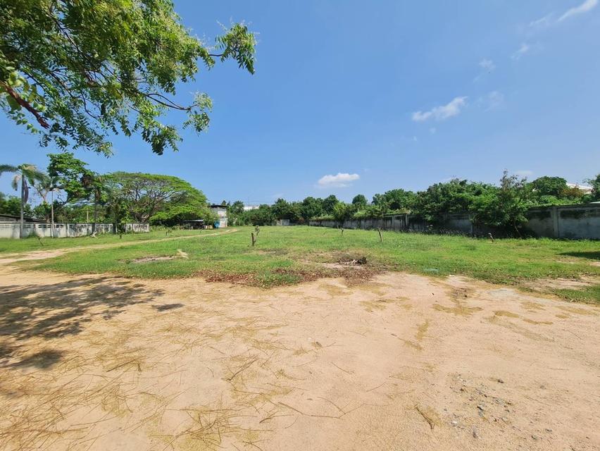 ขายที่ดินพัทยาใต้ ซอยสุขุมวิท 58 และ 60  15