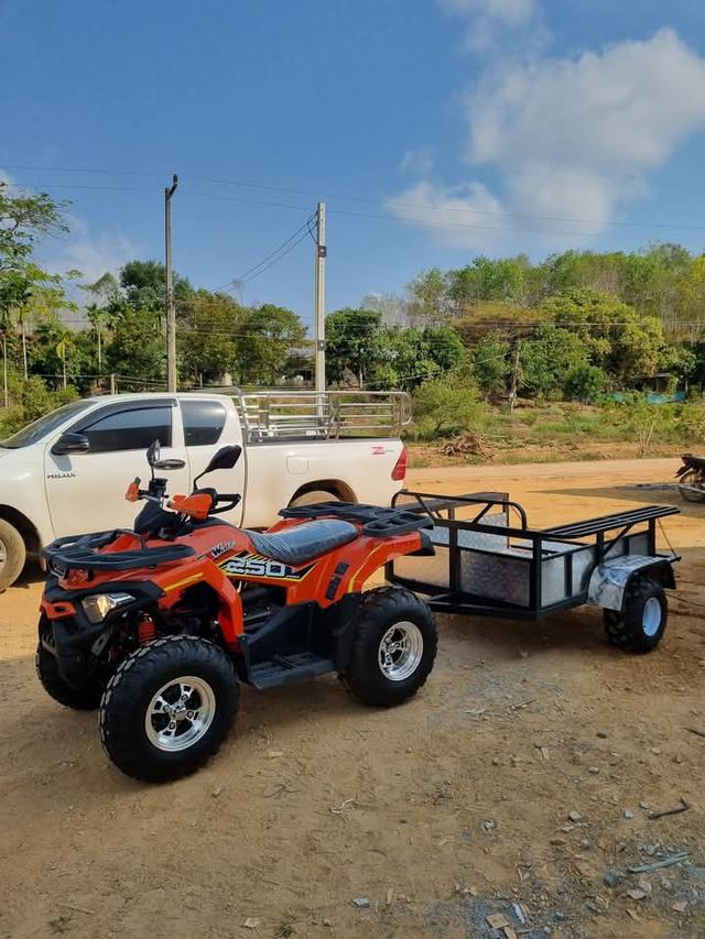 ATV X-WOLF 250 PRO