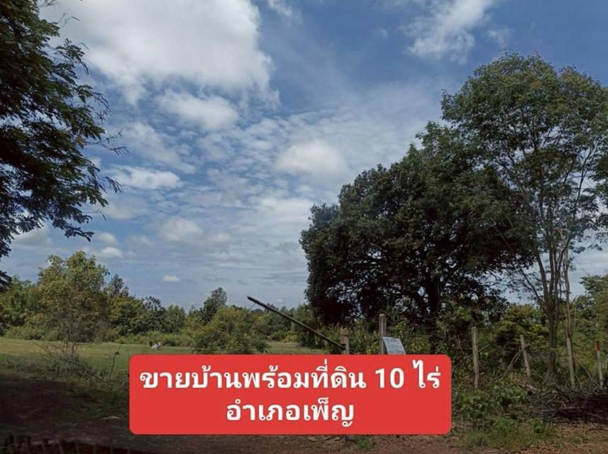 ขายบ้านพร้อมที่ดิน เนื้อที่10ไร่ อ.เพ็ญ จ.อุดรธานี  9