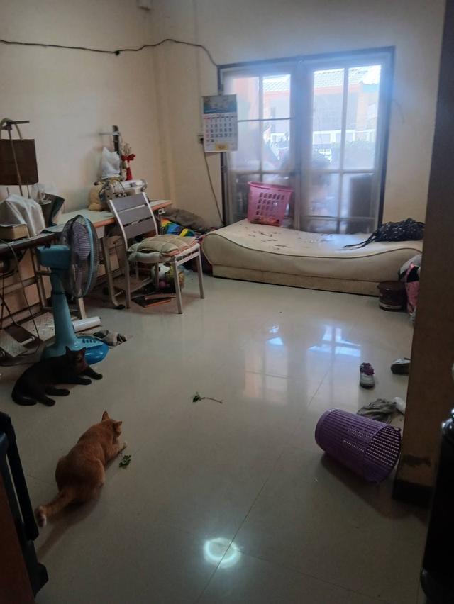  บ้านมือสอง 4