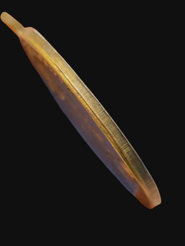 16/1#ขายพระบ้านเก่าเก็บ รูปที่ 3