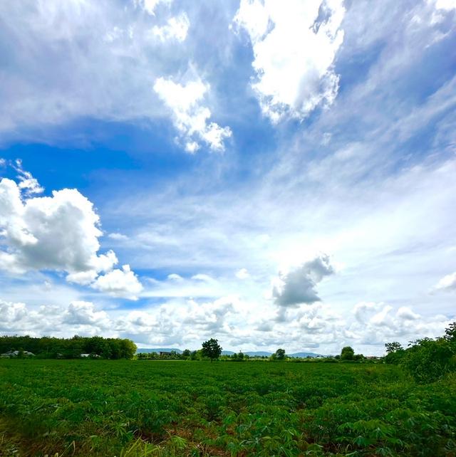 ที่ดินเปล่า 10 ไร่ เขาใหญ่ ปากช่อง 4