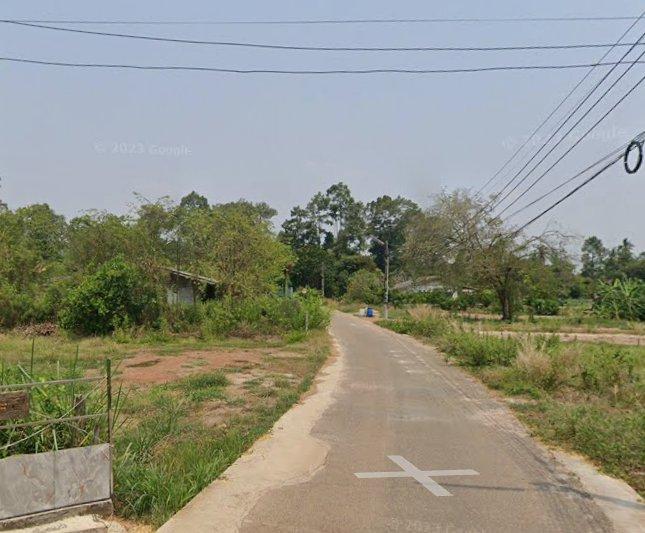 ขายที่ดินท่าถ่าน 2 ไร่ ติดถนนลาดยาง ใกล้ถนนเส้น319-1.1กม. อ.พนมสารคาม ฉะเชิงเทรา 2