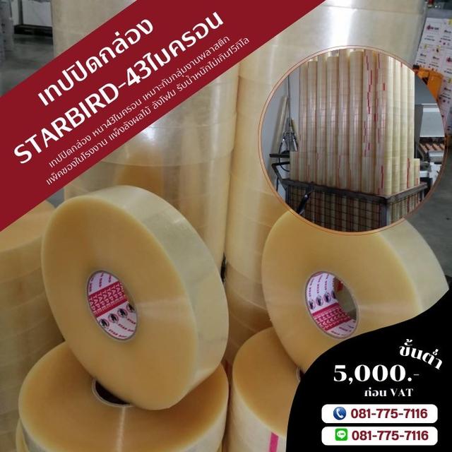 สก็อตเทป เทปปิดกล่อง081-7757116