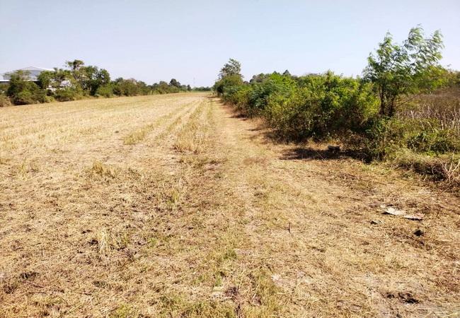 ขายที่ดิน ซอยคลองสาม 11/21 ติดคลองแอน ถนนคลองหลวง อำเภอคลองหลวง ปทุมธานี 8