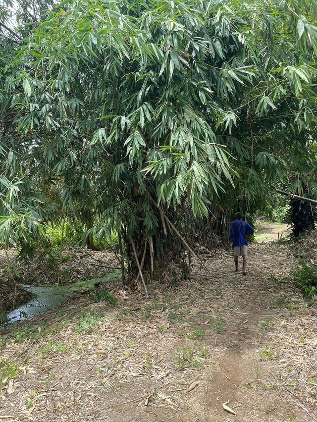 ที่ดินแถวท่าอิฐ ต.บากเกร็ด จ.นนทบุรี 6
