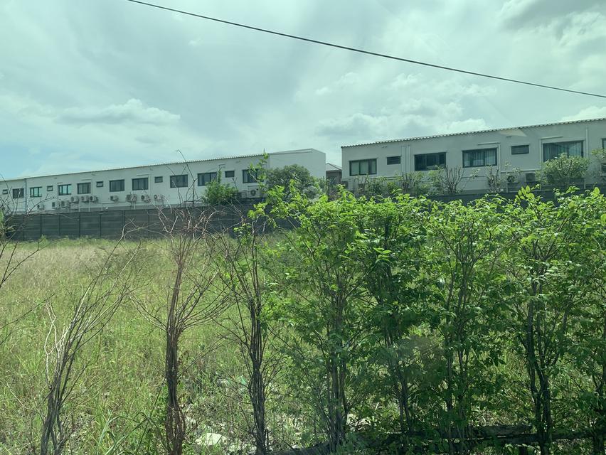 ที่ดินทำเลทอง พื้นที่สีแดง ติดถนนใหญ่ ใกล้สถานีรถไฟตลิ่งชัน 4
