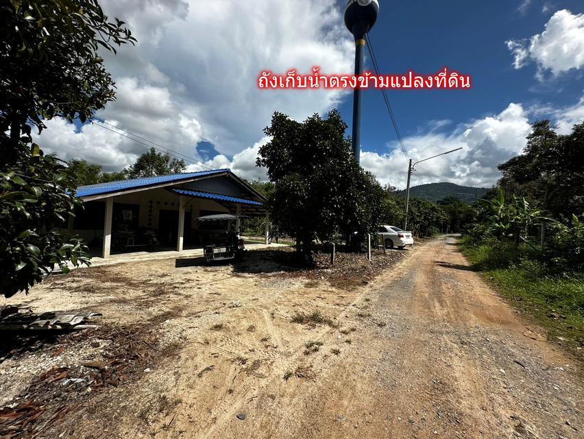 ขายที่ดินวาละ 2,505 บาท สูงกว่าถนนไม่ต้องถม 1-0-67 ไร่ ติดสถานปฏิบัติธรรมหลวงปู่ขี้เถ้า บ้านแลง ระยอง 5