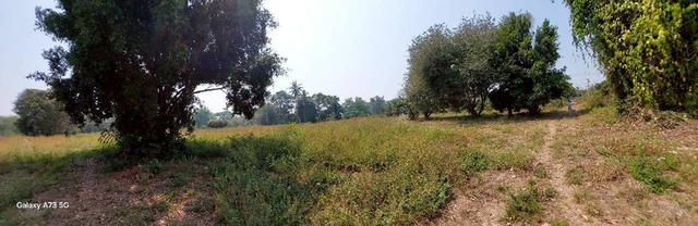 ขายที่ดินเปล่าในจ.ลำพูน ด้านหน้าติดถนนใหญ่ ติดแม่น้ำ พื้นที่สวย ทำเลดี อยู่ในเขตชุมชน ปลอดภัย ห่างจากสถานที่ราชการไม่เกิน 700 เมตร 8