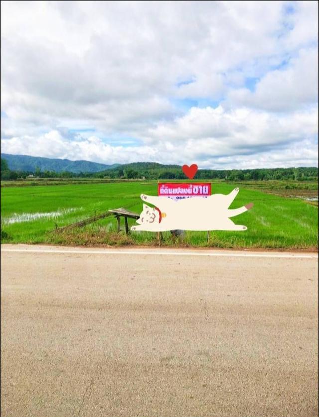 ขายที่ดินติดถนน