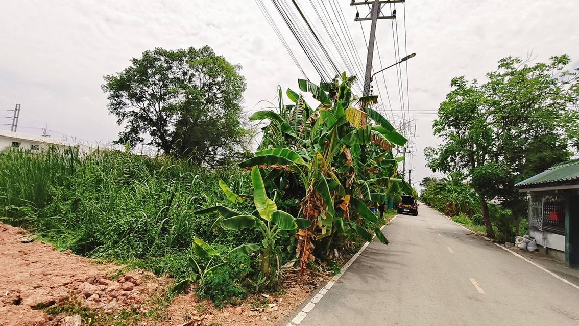 ขายที่ดิน112ตรว.ซอยบงกช65 3