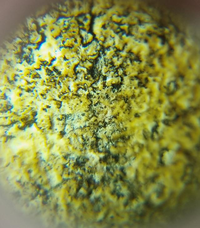 พระสมเด็จ 11