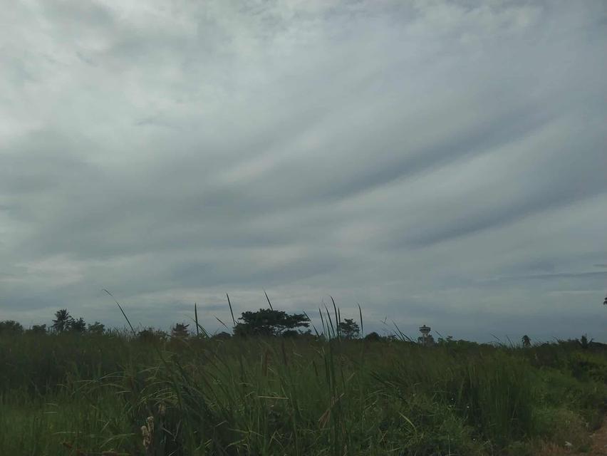 ขายที่ดินนครปฐม ถ.มาลัยแมน ต.ลำพยา อ.เมือง ราคาถูกทำเลทอง 7