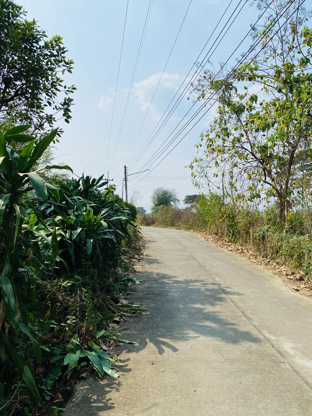 รูป Land for sale and rent Thoen District, Lampang Province ขาย/ ให้เช่าที่ดิน ที่ดินติดถนน ต.ล้อมแรด อ.เถิน จ.ลำปาง 3