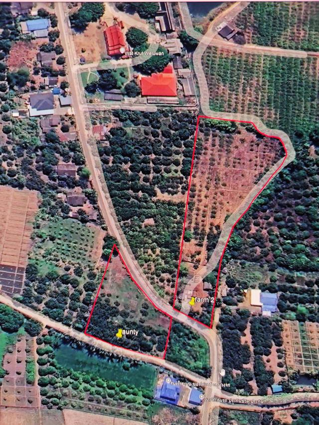 ที่ดิน2แปลง เจ้าของขายเอง น้ำไม่ท่วมสำหรับผู้ที่มองหาที่ดินหลังเกษียณ 6