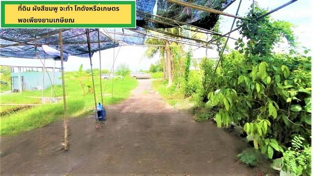 ขายถูกที่ดิน 15 ไร่ 6,000 ตรว. ผังชมพู ติดถนน 2 ด้าน อนาคตที่ดินแปลงนี้กำลังจะทำถนนเข้าถึงมอเตอร์เวย์ คลอง9 บึงกาสาม หนอ 2