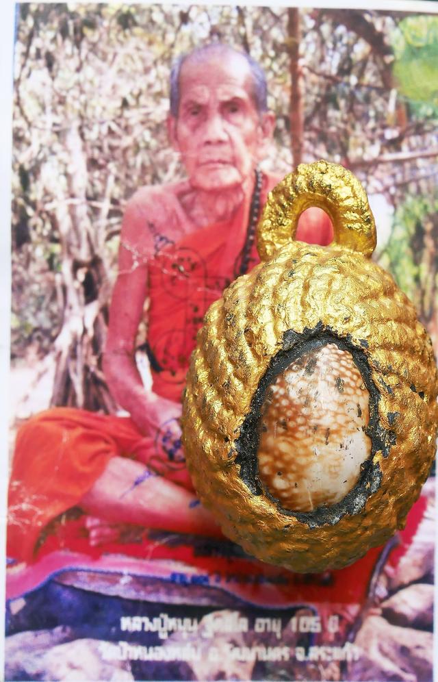 เบี้ยแก้จักรพรรดิ์ รุ่นมหาจักรพรรตราธิราช หลวงปู่หมุน ฐิตสีโล อายุ 108 ปี พ.ศ.2545..เก่า เดิมๆ 9