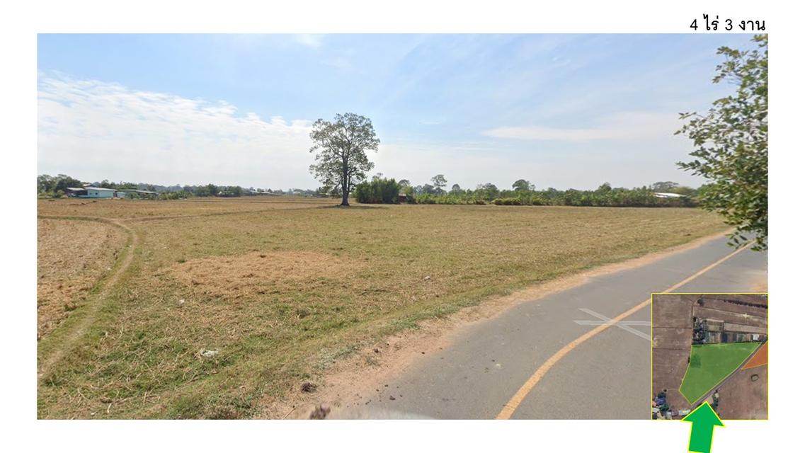 ขายที่ดิน 7 ไร่ บ้านอุดม อ.ธวัชบุรี จ.ร้อยเอ็ด 6