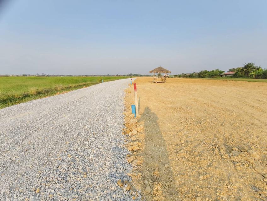 ขายที่ดินสวย ต.ห้วยพระ อ.ดอนตูม ใกล้นครปฐม-กทม. วิวทุ่งนาหลักล้าน อากาศดีมาก มีหลายขนาด เลือกแปลงที่ใช่ก่อนใคร! 7