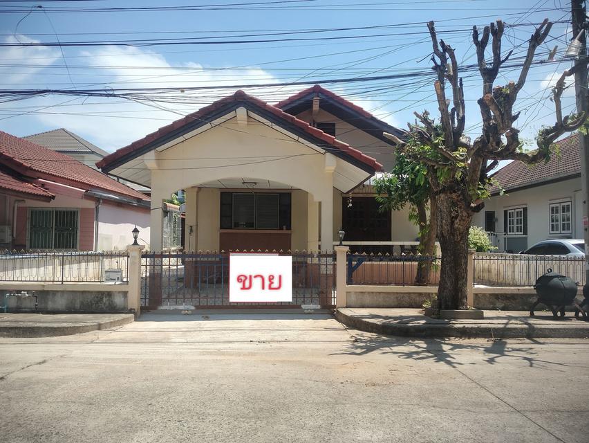 ขายบ้านเดี่ยว ชั้นเดียว 3ห้องนอน 2 ห้องน้ำ---- ใกล้สนามบินขอนแก่น!! 1