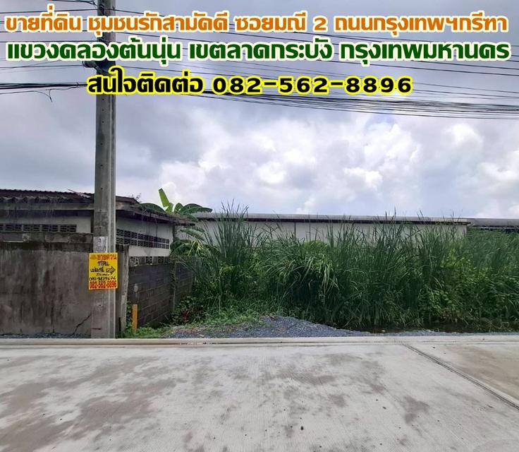 ขายที่ดิน ชุมชนรักสามัคคี ซอยมณี 2 ถนนกรุงเทพฯกรีฑา ลาดกระบัง 1