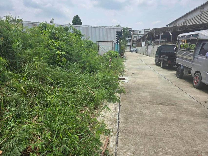 ขายถูกที่ดินตลิ่งชัน 80 ตรว ติดถนนคอนกรีตสาธารณะ ถมแล้ว พุทธมณฑลสาย 3 ซอย 22 บางระมาด กรุงเทพฯ 3