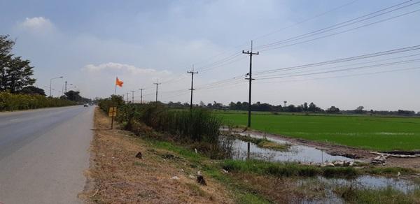 ขายที่ดิน แปลงใหญ่สวย ติดถนนสาย 347 ปทุมธานี-บางปะหัน ต.บางประแดง อ.บางประอิน อยุธยา กม. 29-30 โทร 095-8299247 5
