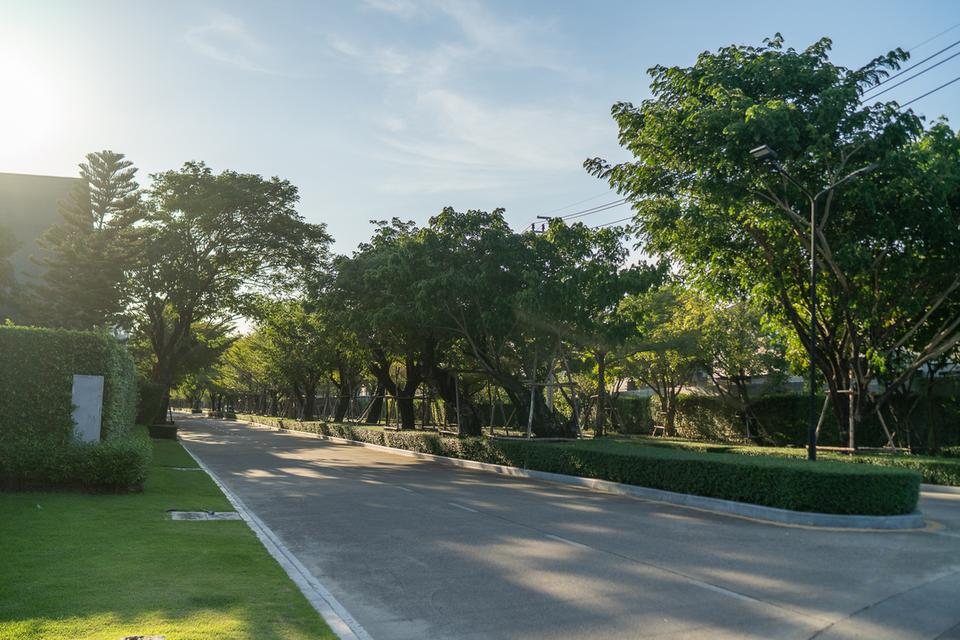 บ้านหรู ให้เช่า/ขาย พร้อมเข้าอยู่ โครงการบางกอก บูเลอวาร์ด พระราม 9  2