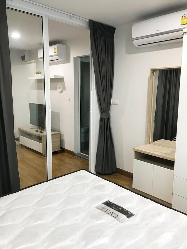 ให้เช่าคอนโด Regent Home Sukhumvit 81 (รีเจ้นท์ โฮม สุขุมวิท 81) BTS อ่อนนุช 5