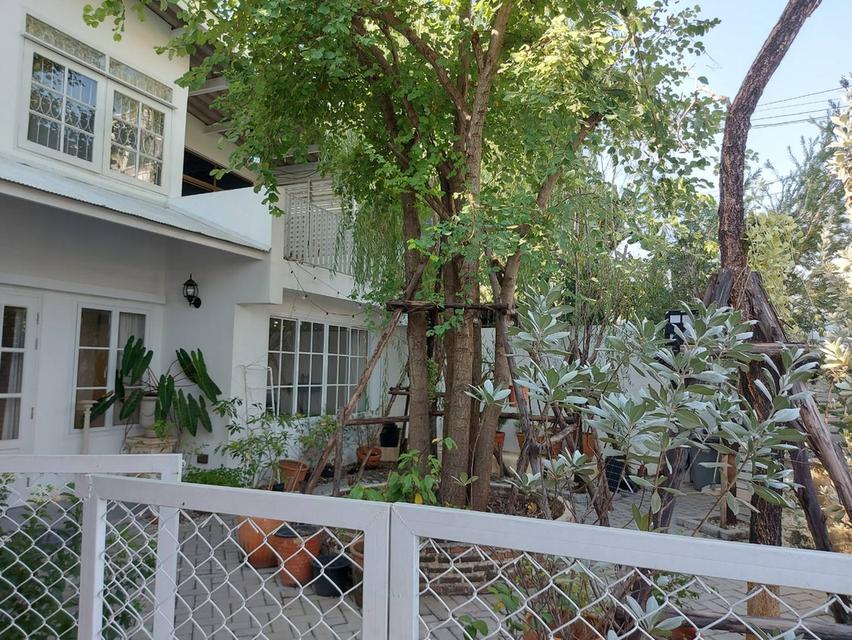 ขาย บ้านเดี่ยว 2 ชั้น พระรามเก้า 45 ซอย 5 ทำเลดี สภาพแวดล้อมเยี่ยม 2