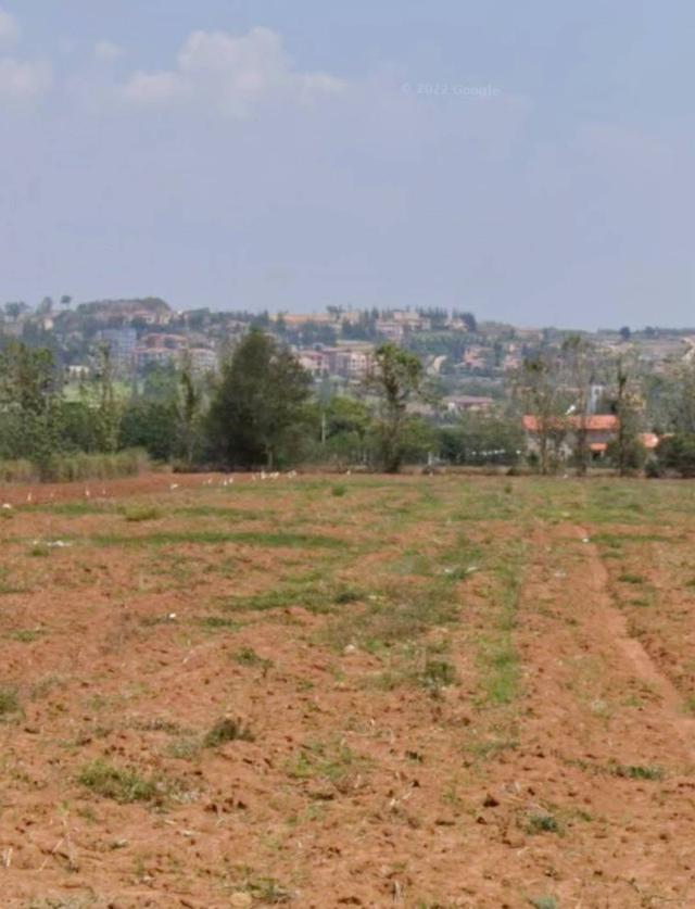 ขายที่ดินเขาใหญ่ 10 ไร่ อำเภอปากช่อง จังหวัดนครราชสีมา 4