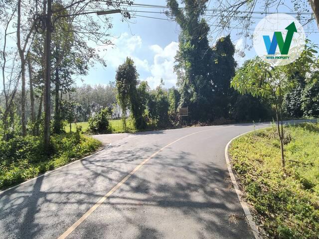 ขายสวนยางพาราแปลงใหญ่ในควนขนุน ใกล้สำนักงานที่ดินจังหวัดพัทลุงสาขาควนขุนน 4