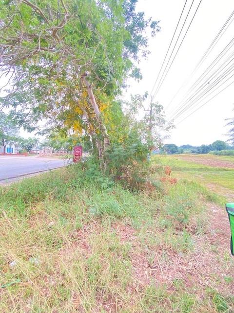 ขายที่ดิน 2ไร่ 1งาน บ้านหนองคู อำเภอบ้านแท่น ชัยภูมิ ติดถนน ทล.2389 หน้ากว้าง 60เมตร ลึก 75เมตร ทำเลการค้า ตรงข้ามร้านวัสดุก่อสร้าง 1