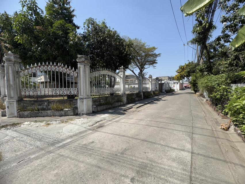 ให้เช่าบ้านเดี่ยว 2 ชั้น พร้อมที่ดิน ซอยสุขุมวิท 97/1 ถนนสุขุมวิท (N.1543) 9