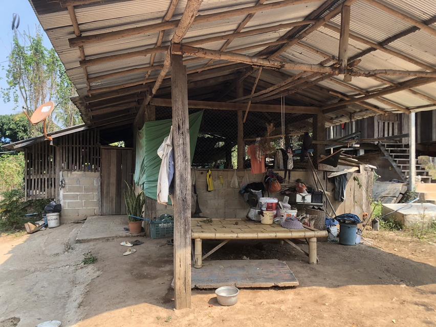 ขาย 230,000 บาท ที่ดิน 92 ตารางวา วังเหนือ ลำปาง  098 7755 808 6