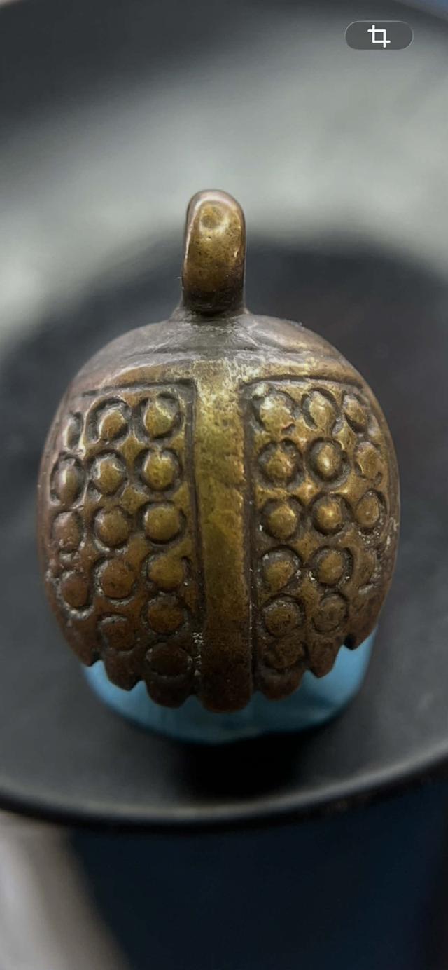 เต่าเรือนทองหลวงพ่อเงิน