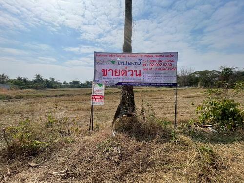 ขายที่ดิน 3 งาน 78.0 ตรว. ต.ขามทะเลสอ อ.ขามทะเลสอ จ.นครราชสีมา 1