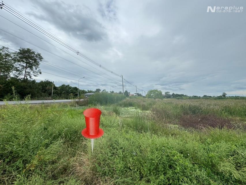 Listing No. 69030148 : ขายถูก ที่ดินแปลงสวย  เนื้อที่ 55 ตร.ว.  ต.พืชอุดม  อ.ลำลูกกา จ.ปทุมธานี 1