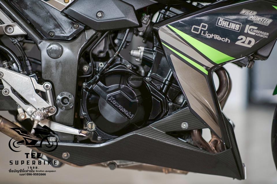 Kawasaki Z300 2017 9