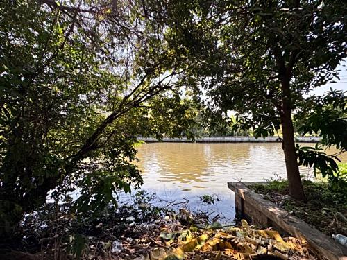 ขายที่ดินซอยลาดกระบัง3 ขนาด 371 ตร.วา (ถนนประชาทร) วิวลำธาร (N.1380) 4