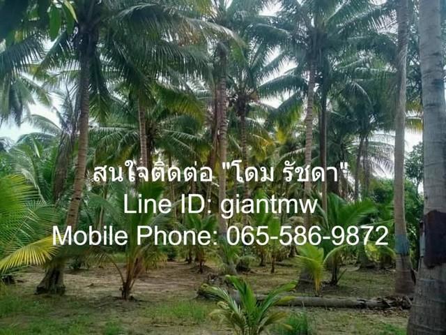 ที่ดิน ที่ดิน ต.สามกระทาย อ.กุยบุรี จ.ประจวบคีรีขันธ์ ขนาดเท่ากับ 5 Rai 2 Ngan 20 sq.wa 1900000 thb ไม่ไกลจาก อยู่ห่างอง 4