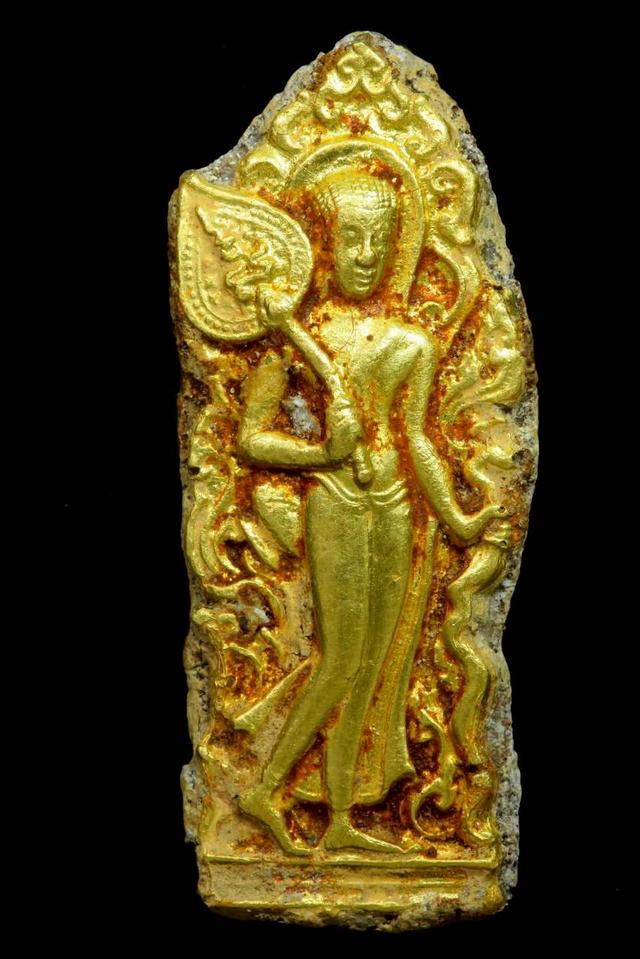 เนื้อว่านหน้าทอง เปิดจ้า