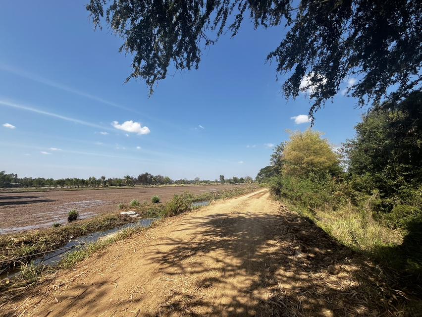 ขายที่นา 9 ไร่ ไม่ไกลจากตัวเมืองขอนแก่น 5